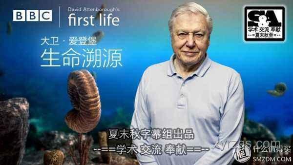 你可能不认识我，但你一定看过我写的故事：写作指南